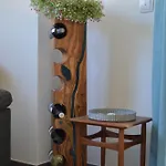 Wurzelecht Apartamento