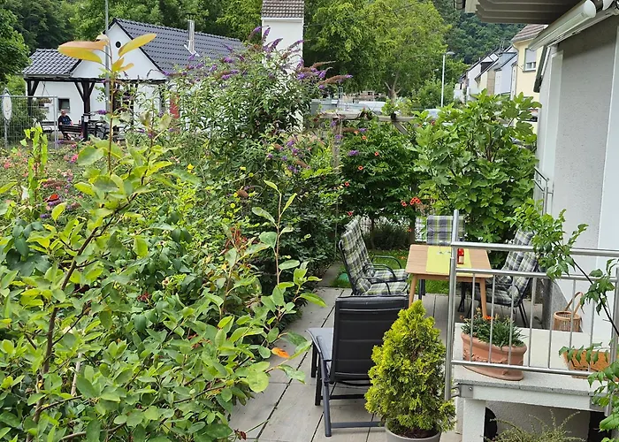 Wurzelecht * 巴特诺因阿尔-阿尔韦勒